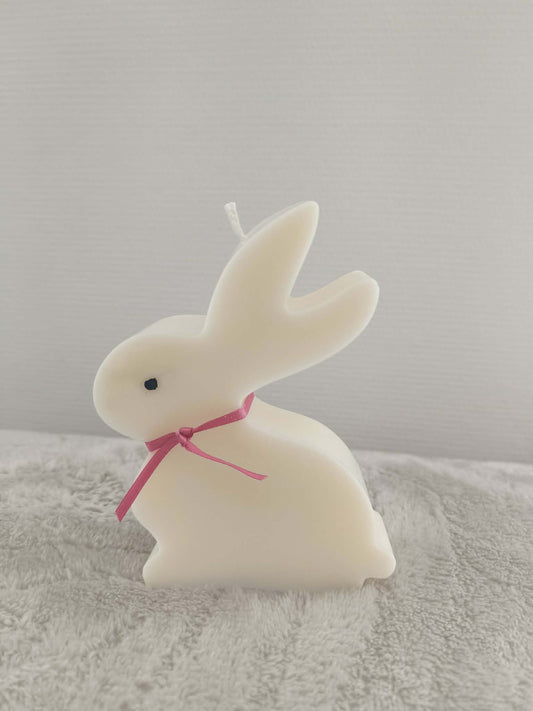 Lapin Paques Profil