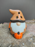 Bruleur Gnome Automne
